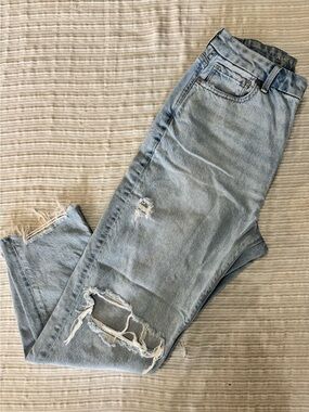American Eagle Outfitters Light Blue Straight Leg Jeans
